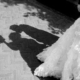 5 consigli indispensabili per il tuo matrimonio