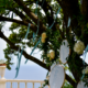 come realizzare il tableau de mariage perfetto